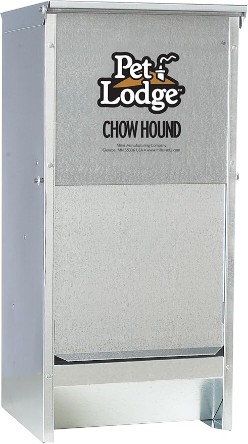 71-oVwUJb6L._AC_SY879_11111